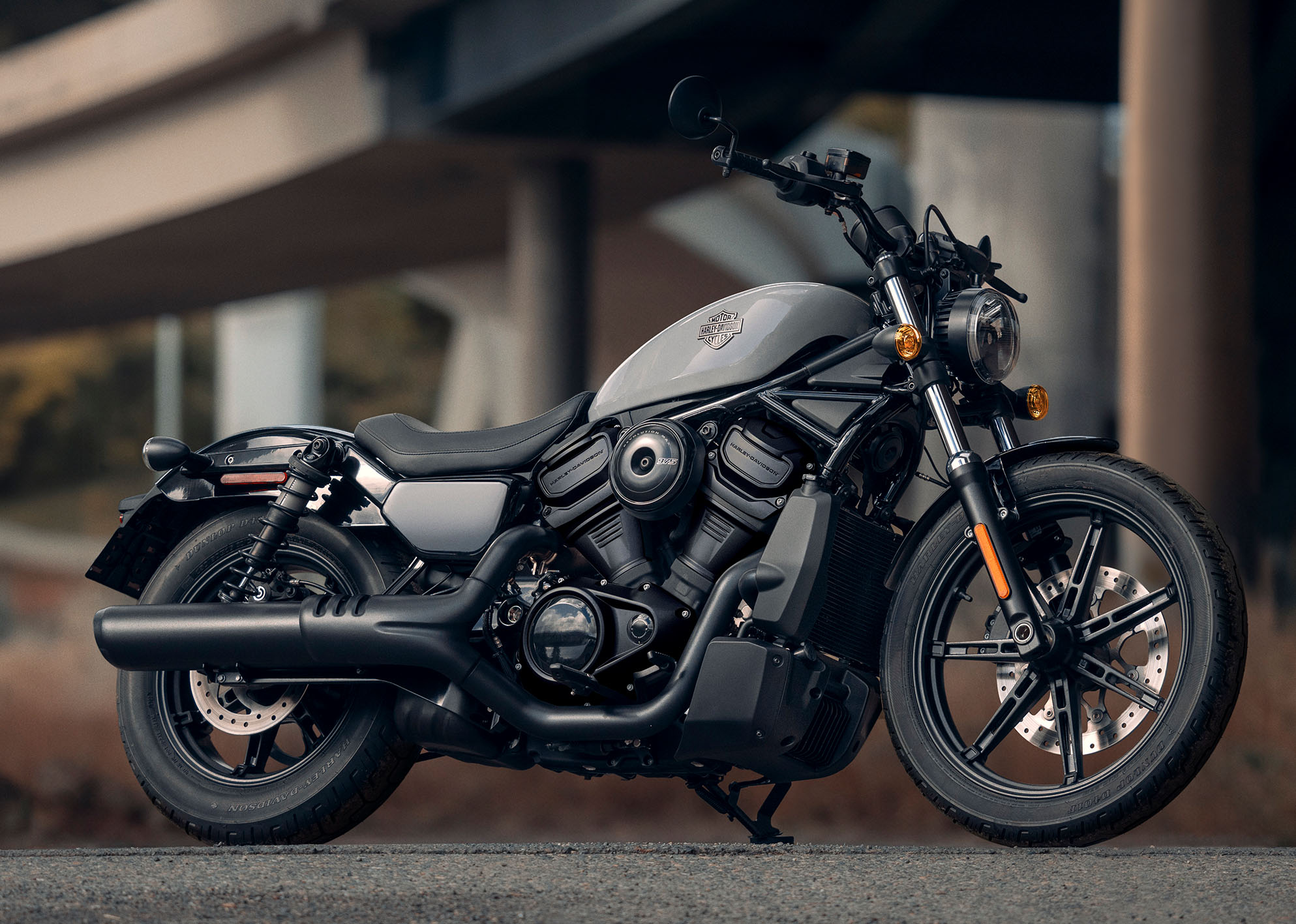 2025 Nightster motorcycle beauty shot